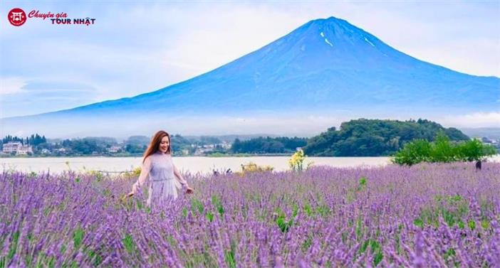 Tour Nhật Bản Cung Đường Làng Cổ Shirakawa-go 6N5Đ